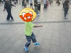 -丁香湖公园
