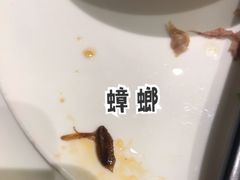 -宴宁汇(星河荟商业中心店)