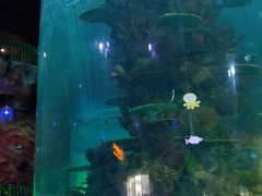 -青岛嘉年华主题乐园