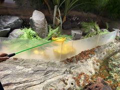 -正佳雨林生态植物园