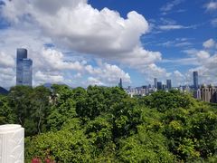 -深圳湾公园(南山区)