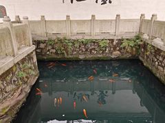 -墨池公园