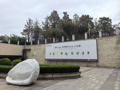-青岛贝壳博物馆
