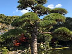 -天王寺公园