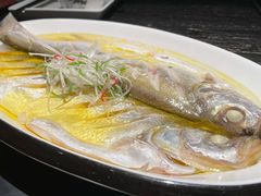清蒸白鱼-吴越荣记苏州菜·松鼠桂鱼(月光码头店)