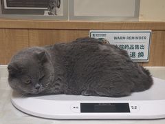-瑞派宠物医院·24h·骨外科·皮肤科·全科宠物医疗转诊中心(沈阳浑南院)