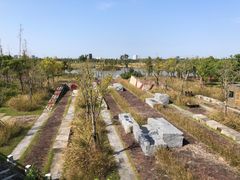 -春花秋色城市公园