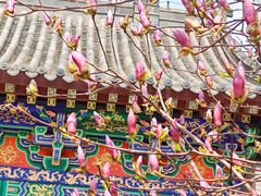 -护国法轮寺