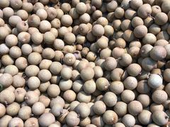 -新隆嘉供销超市(青岛瑞昌路店)