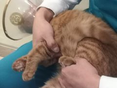 -美迦爱-牙专科·兔科·骨科诊疗中心(北苑店)