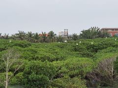-霞山观海长廊