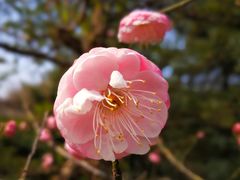 -白塘生态植物园