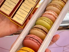 -Pierre Marcolini(德基广场店)