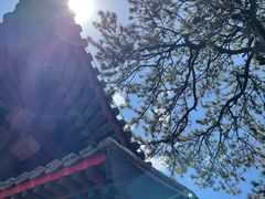 -承德避暑山庄景区