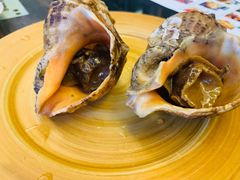 鸿山角螺-堂宴·老厦门私房菜(1988仙岳总店)