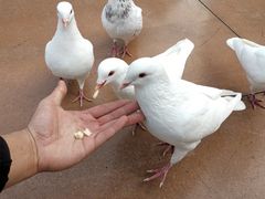 -济南方特东方神画