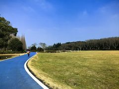 -宜兴龙背山森林公园