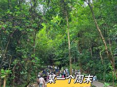 -火炉山森林公园