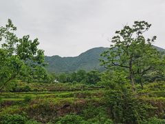 -塔川景区