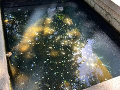 -青岛崂山太清宫