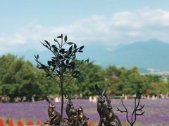 -富田农场