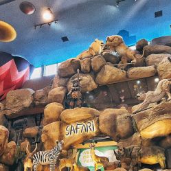 -卡通尼·Safari非洲探索乐园·生日会(金桥国际商业广场店)