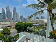 -新加坡文华东方酒店