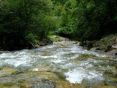 -黑河国家森林公园