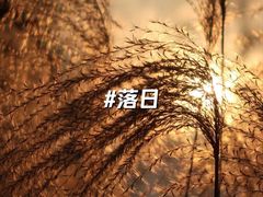 -梁鸿国家湿地公园