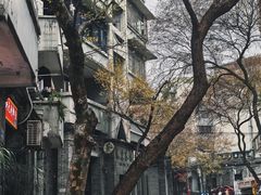 -老街无刺鲫鱼