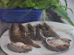 -花苑美食横琴生蚝火锅(拱北粤华路店)