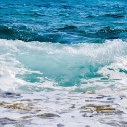 -薇兰专业脱毛连锁机构