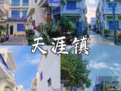 -亚龙湾热带天堂森林公园