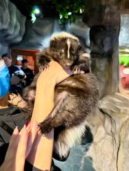 -Zoolung Zoolung动物主题公园(海信广场店)