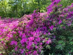 -南山风景名胜区
