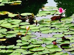 -尚湖风景区