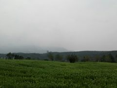 -紫云台香草园