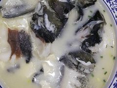 -全乐鱼馆·淳牌有机鱼直营店