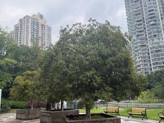 -苏州河梦清园环保主题公园