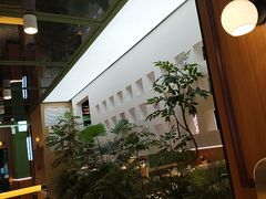 -0048鲜活香辣虾·火锅(铜陵路店)