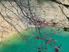 -广州市流溪河国家森林公园