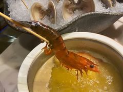 鲜活草虾-豆捞坊(金桥店)