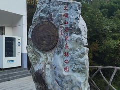 -王顺山国家森林公园