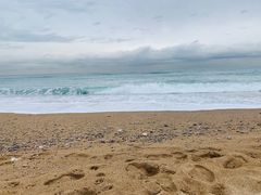 -小巴塞罗那海滩