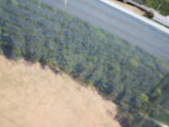 -华西村
