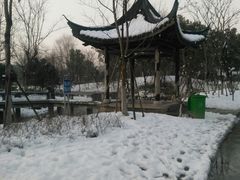 -镇江市南山风景名胜区竹林景区