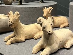 -广西壮族自治区博物馆