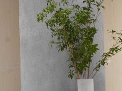 -M Stand(南京新街口金鹰店)
