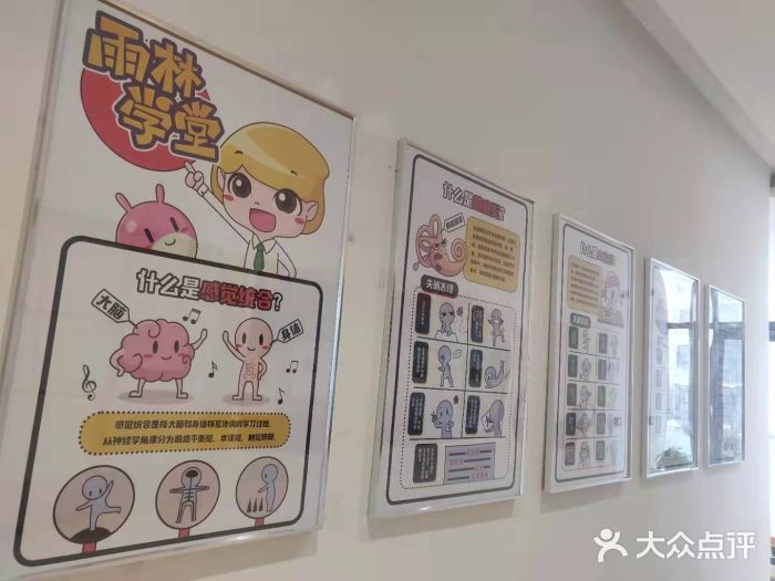 金色雨林学习力培优(专注力提升)图片