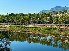 -中国科学院西双版纳热带植物园